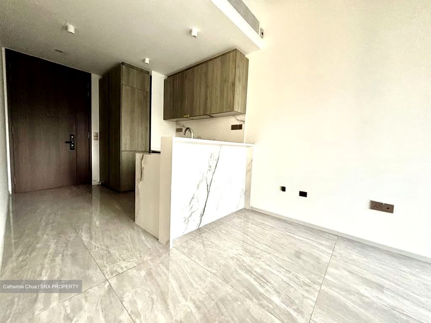 Leedon Green (D10), Condominium #593235811
